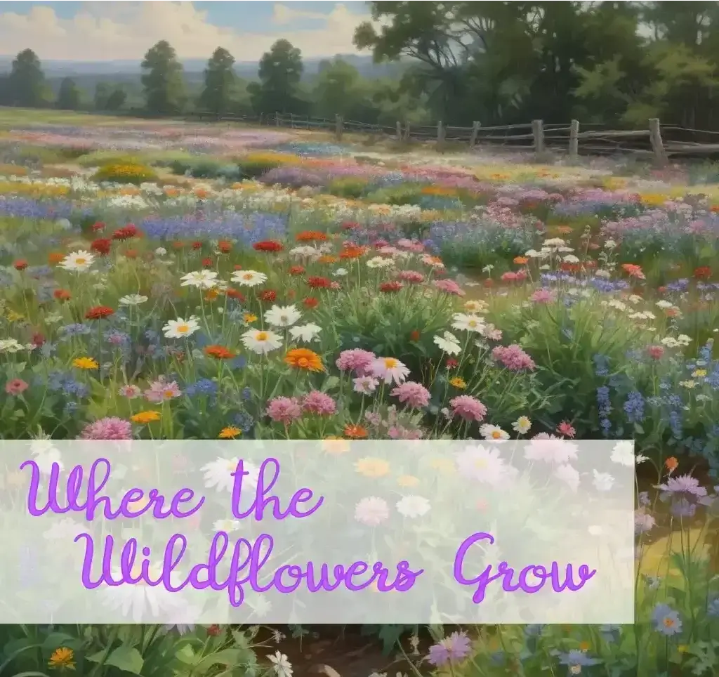 Where the Wildflowers Grow